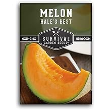 Cantaloupe Seeds for Planting Hales Best Heirloom Melon with Sweet Juicy Orange Flesh, Early Yields & Drought Tolerance Non-GMO Muskmelon Variety Survival Garden Seeds 1 Pack