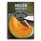 Survival Garden Seeds - Hale's Best Melon Seed for Planting - Grow Juicy Cantaloupe for Eating - Packet with Instructions to Plant in Your Home Vegetable Garden - Non-GMO Heirloom Variety