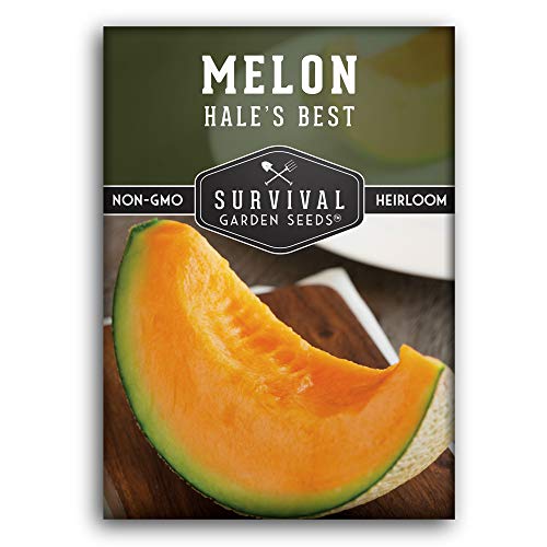 Hales Best Cantaloupe Seeds for Planting Heirloom Muskmelon - 1 Pack