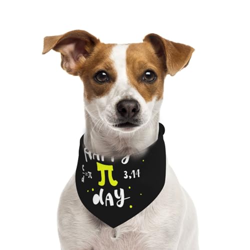 Pañuelo para perro Pi Day tamaño grande miniatura 2
