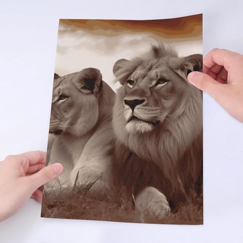 Stickers lion africain durables en vinyle haute résolution - 5