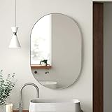 TEEBARN Brushed Nickel Oval Bathroom Vanity Mirror 20x30 Pill Shaped Capsule Wall Mounted Mirror wit