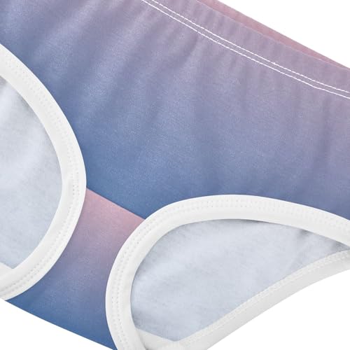 Joisal Bright Toddler Girls Underwear 2t Cotton Little Girl Panties Blush Pink Blue Gradient Briefs Undies Kids4