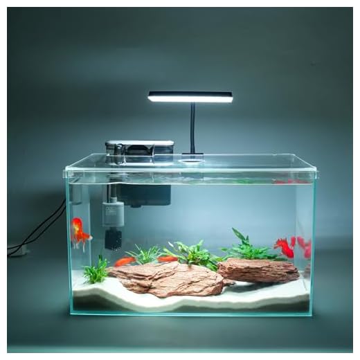 Vimvins 10 Gallon Glass Small Fish Tank with Filter Light and Lid, Aquarium Starter Kit