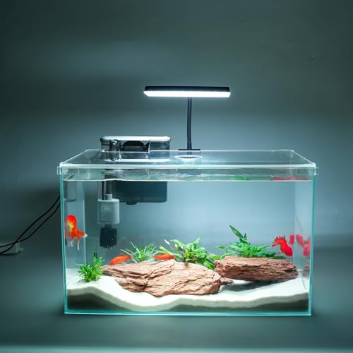 10 Gallon Glass Small Fish Tank, Betta Fish Tank Starter Kit with Filter, Lights, Lid.