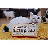 猫かふぇねこぱんち チャリティーカレンダー 2025