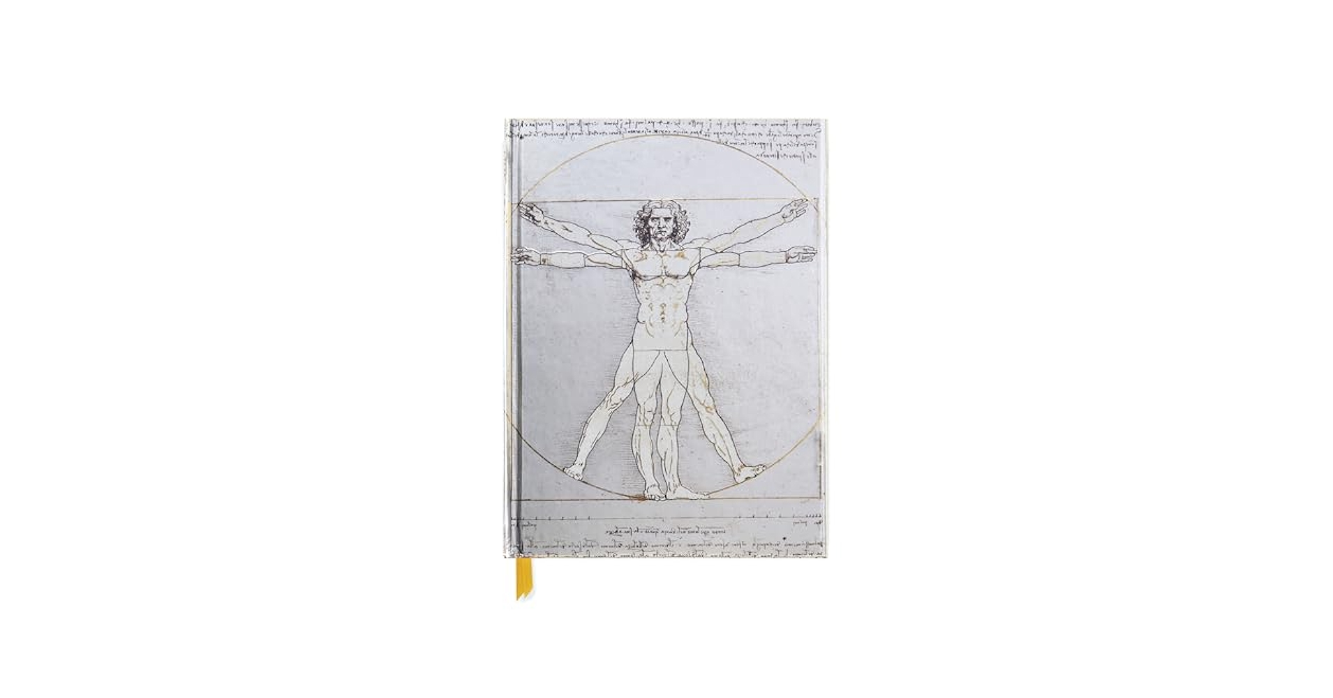 Davinci『into the Bloom』 maxresdefault.jpg