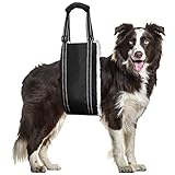 Petbobi Dog Sling Hind Leg Support, Dog Lift Harness for Back Rear Legs, Assist The Pets Who are Senior, Injured, Disabled or After ACL Surgery, Fit Large Female Pet
