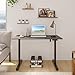 Veken Standing Desk Electric 47.2 Inch, Height Adjustable Sit Stand Up, Wood Desktop, Work Home Office Computer PC Table, Tall Standup Workstation, Gaming Writing Study Bedroom Rising Desks, Black
