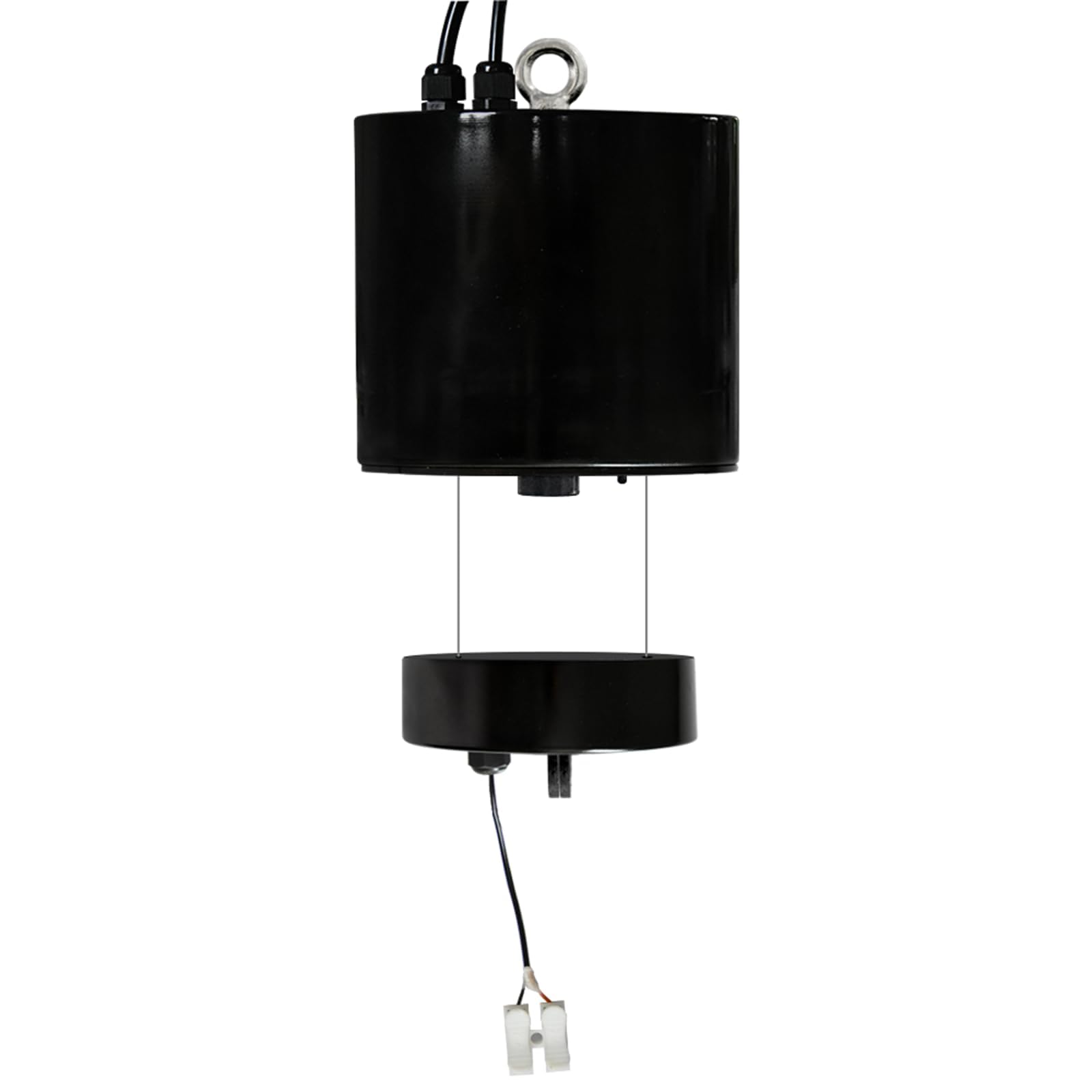 Sollevatore elettrico con telecomando, altezza 15 m, portata 10 kg, per officina, palestra, magazzino, facile installazione e funzionamento