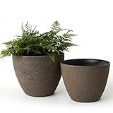 LA JOLIE MUSE Flower Pots Outdoor Indoor Garden Planters, Plant Containers with Drain Hole, New Iron