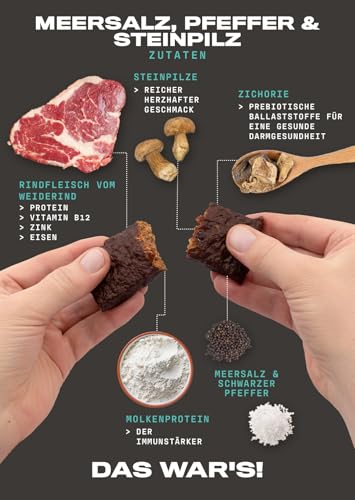 Roam Natürliche Protein Riegel, 6x45 Gramm FleischSnacks, ideal für die Carnivore-Diät, glutenfreie Trockenfleisch (6 x 45g Bars, Meersalz, schwarzem Pfeffer und Steinpilzen)