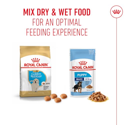 Image of Royal Canin Golden Retriever Puppy Food, Dry Food, Supports Immune System & Digestive Health, Promotes Healthy Skin & Coat, 1 Kg