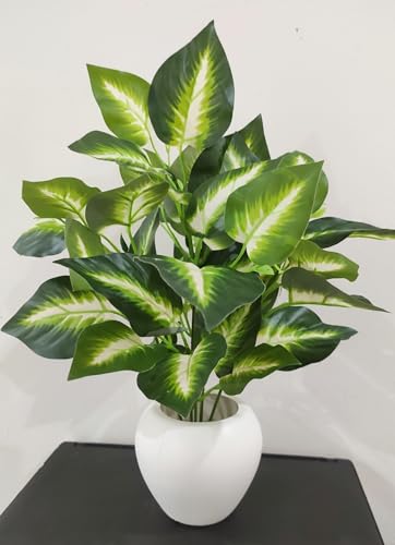 BAARIG Natural Looking Artificial Money Plant/Tree with Pot | Ornamental Plant for Interior Decor | Home/Shop/Office Décor (Green-White)