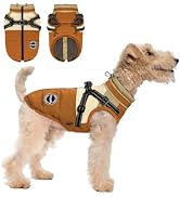 Aimydog Warme winterjas voor honden, met borstband, winddicht, met buikbescherming, reflecterend, met fleecevoering, voor kleine kinderen, groen, S