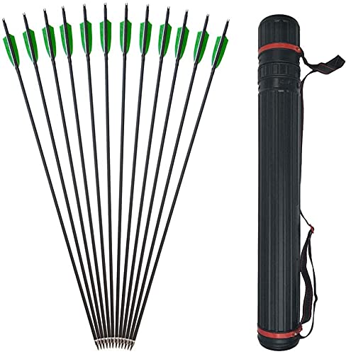 AMEYXGS 31Inch Archery Carbon Arrows Spine 500 Hunting Targeting Arrows Replaceable Steel Tips with 4inch Turkey Feather for Recurve Bow and Compound Bow (12 pcs Carbon Arrows+1pc Arrow Quiver)