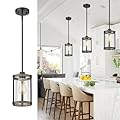 Osimir Farmhouse Pendant Light Fixtures, 1-Light Black Glass Pendant Lights for Kitchen Island, Industrial Rustic Mini Hanging Lighting with Rod, Wood Finish, Adjustable Length, OS-3014