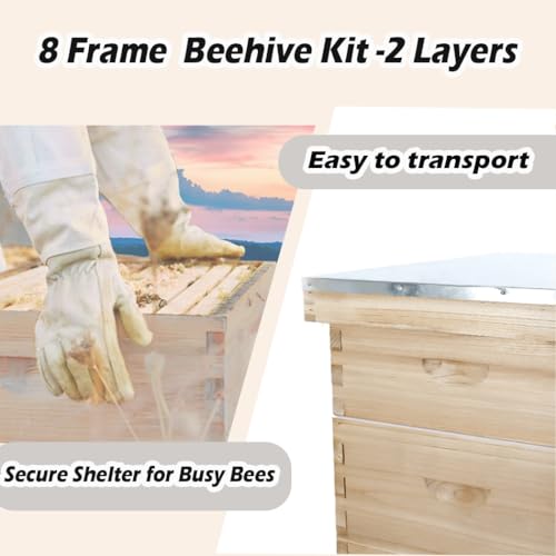 POLLIBEE 8 Frame Beehive kit, Complete Bee Hive for Beekeeper, Langstroth Bee Hives Include 1 Deep and 1 Medium Bee Box with Bee Frames and Foundation(Unassembled) - Image 5