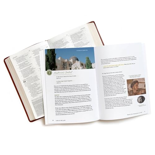 Image of Luke in the Land - Bible Study for Women with Video Access: Walking with Jesus in His First-Century World