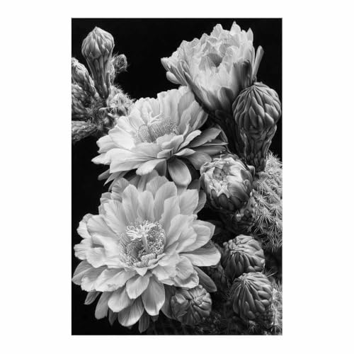 Toile decoration murale cactus noir et blanc pour sublimer l'ambiance du salon
