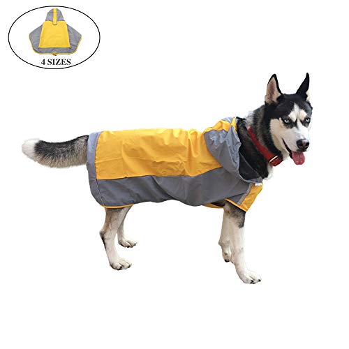 Best Rain Poncho For Dogs