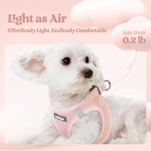Image of rabbitgoo Dog Harness Small Sized and Leash Set, Step-in Puppy Pet Vest