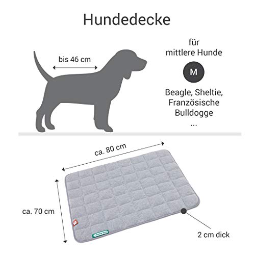 Doctor Bark Hundedecke Fleece Wendedecke - Flauschige, robuste Hundematte für mittlere Hunde. waschbar bis 95°C - hochwertige Indoor/Outdoor Liegedecke (M - 80x70 cm, Hellgrau/Hellgrau)