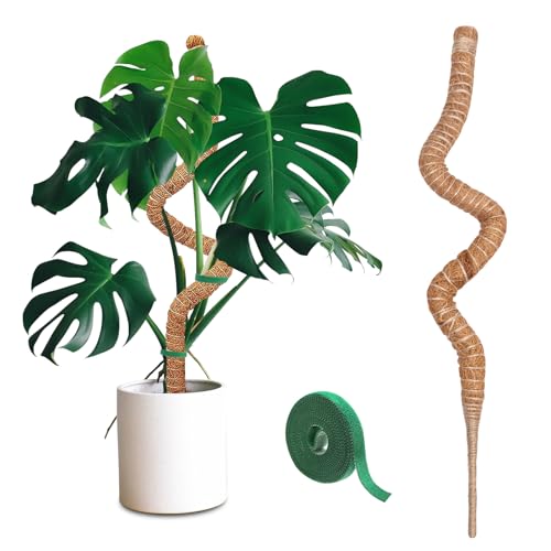Moss Pole 160 cm Bendable Moss Poles for Plants 1 Pcs Moss Pole for Monstera Coir Totem Pole for Climbing Plants Support Outdoor Indoor Plant with Two-Meter Velcro for Potted Plants to Grow Upward