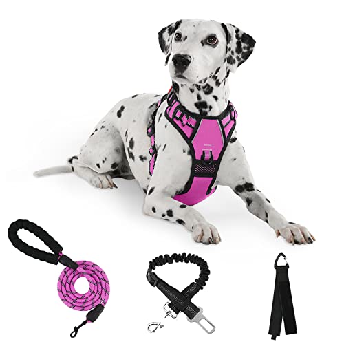 Furryfection No Pull Dog Harness, Reflective Vest Harness With Leash No Choke Soft Padded Dog Vest, Adjustable Front Lead Dog Harnesses With Dog Seat Belt For Small Medium Large Dogs, Rose, S #TOP18