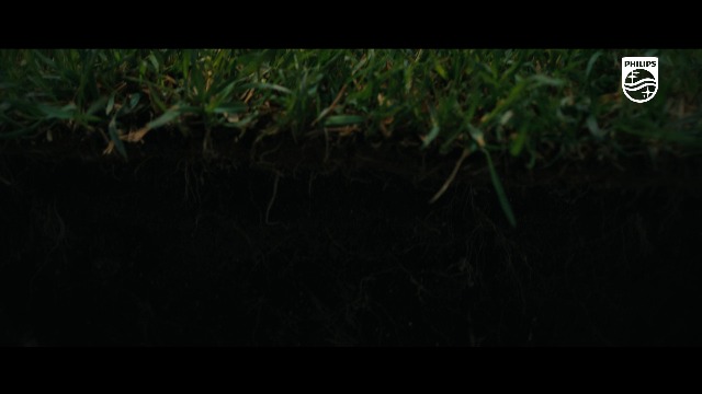 MyGarden Applique Murale Creek 60 W E27 Sans Ampoule | 153873116 | Philips