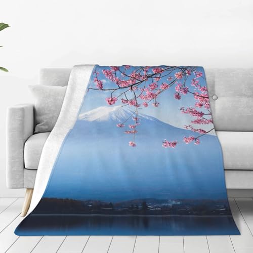 ѕz xmR i   (1) Aj y uPbg tl 􂦂 ÓdCh~ g _炩 ӂӂ lGKp 100cm×125cm