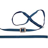 Seulement une légère pression est nécessaire - Doux pour votre chien