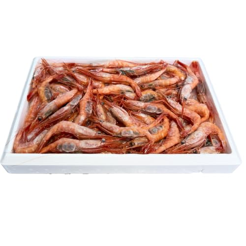 香住の甘エビ 刺身用 小サイズ 解凍前750g以上×1パック 冷凍 但馬漁業協同組合 柴山支所 04-09