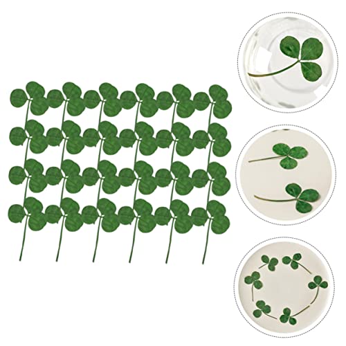 SEWACC 120 Peças De Flores Secas Secas Para Resina Naturales Flores Secas Prensadas Decoração De Vel