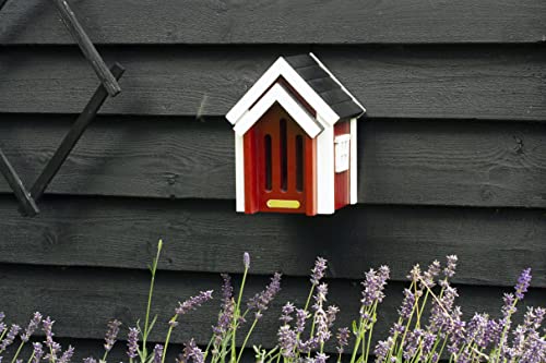 Schmetterlingshaus Wildlifegarden WG300 aus Holz