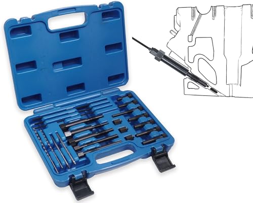 RIODEMBO 22PCS Glow Plug Removal Tool Kit, Glow Plug Extraction Kit, Glow Plug Electrodes Removing Tool for M8x1.0, M10x1.0, M10x1.25 Glow Plug