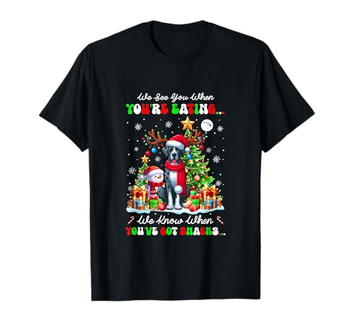 We Know When You're Eating Snacks Christmas Santa Great Dane T-Shirt