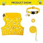 BINGPET Cat Harness with Leash and Collar for Walking - Escape Proof with 59 Inches Leash - Adjustable Soft Vest Harnesses for Medium Large Cats Bee - Image 4