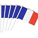 Kind Girl 25 Pack Hand Held Small Mini Flag France Flag French Stick Flag Round Top National Country Flags,Party Decorations Supplies for Parades,World Cup,Festival Events,International Festival
