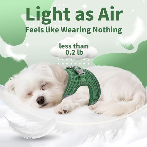Image of AIITLE No Pull Dog Harness and Leash Set, Step in Adjustable Dog Harness with Padded Vest for All Weather, Dog Leash with Soft Padded Handle, Easy to Put on Small and Medium Dogs Green S