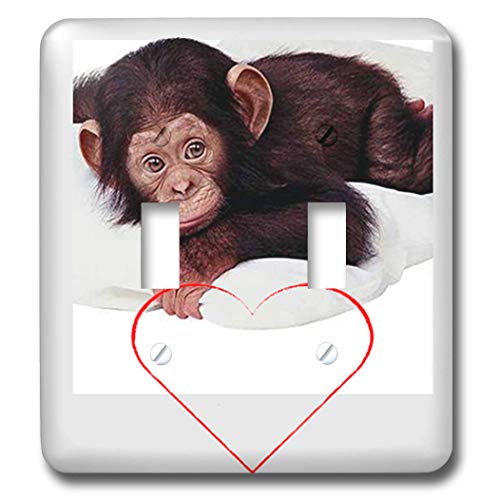 3dRose Valentines Monkey double toggle switch