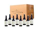 Cerveza Artesanal Session IPA con Pan - Caja de 24 Botellas (330 ml) - Cerveza Gourmet de Raíz Cuadrada