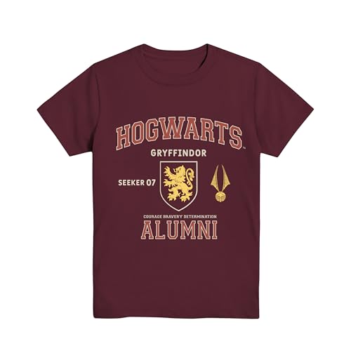 Harry Potter Hogwarts Ravenclaw Gryffindor Hufflepuff Slytherin Alumni Boys Youth T-Shirt