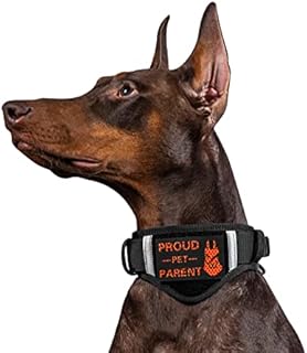 OneTigris Adjustable Dog Collar, Tough Dog Collars Military Heavy Duty Tactical Collar Metal Buckle with Control Handle for Dog Training (L, Black)