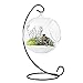 Mkono Clear Glass Vase Hanging Plant Terrarium with Black Metal Stand Tabletop Display Potted Stand for Air Plants Succelent Home Office Decor, C-Shape, 1 Globe