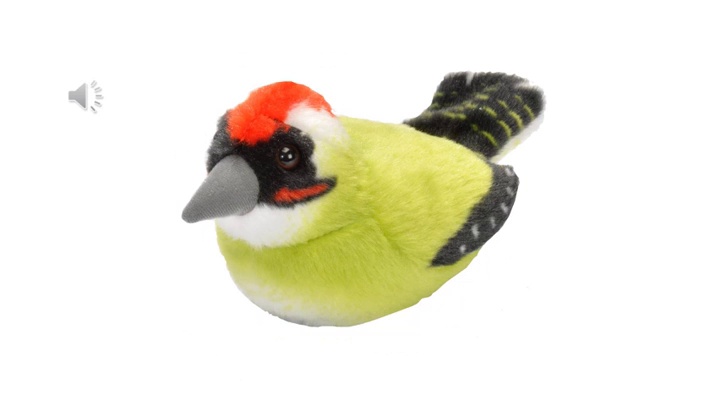 Amazon.com: Wild Republic Birds, Green Woodpecker Plush, Authentic