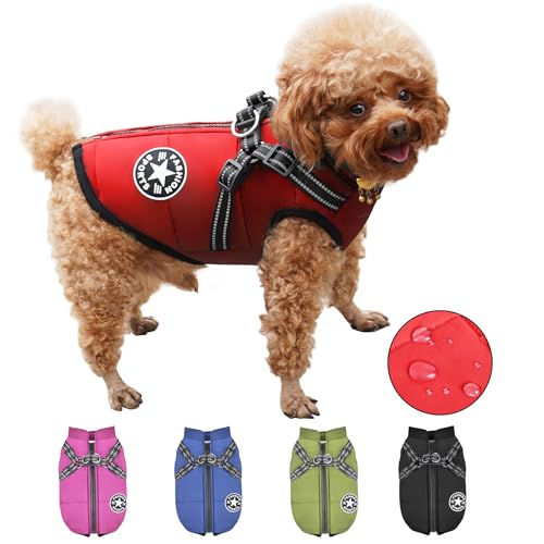 Hundemantel Wasserdicht mit Geschirr, Warme Winter Hundemantel, Hund Wintermantel für Kleine Mittel Große Hunde, Hundejacke Chihuahua Labrador Französische Bulldogge