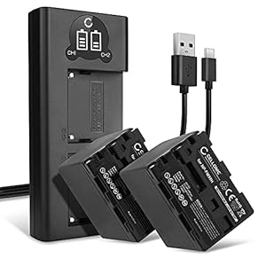 CELLONIC 2X Kamera Ersatzakku NP-FM50 NP-QM51 für Sony CCD-TVR118 CCD-TRV138 HDR-HC1 GV-D1000 HDR-SR1 DCR-PC100, Ersatz Akku 4200mAh + Dual Ladegerät BC-VM50 AC-S950D Kameraakku Zusatzakku Battery