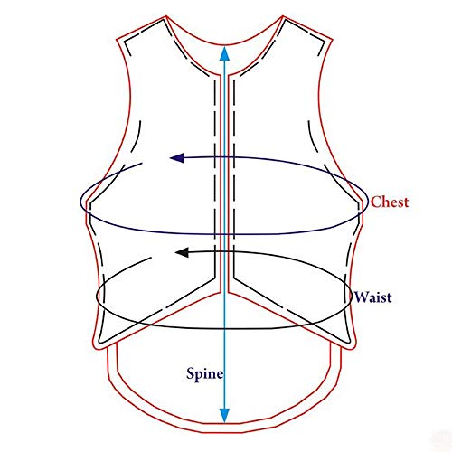 HILASON Colete de segurança de couro para equitação de touro equestre, Branco, G