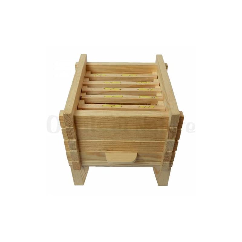 Ruche Classique 37 cm en Bois 5 Cadres